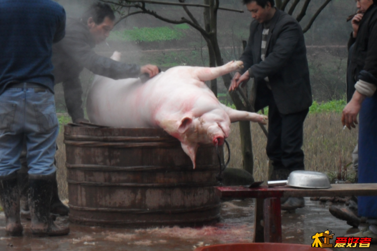 QQ截图20150506192815.png