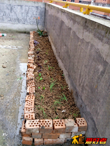 P50508-180631.jpg