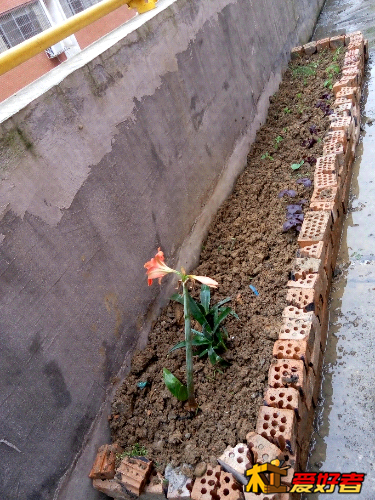 P50508-180728.jpg