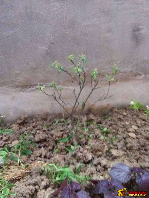 072634a3gajsykasjzyjgj.jpg