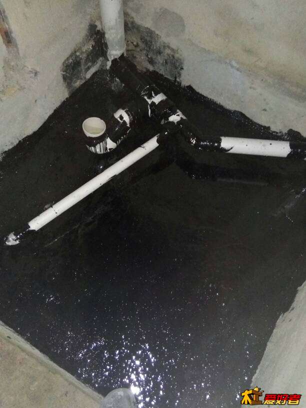 224050vxo47zkj17sxyysx.jpg