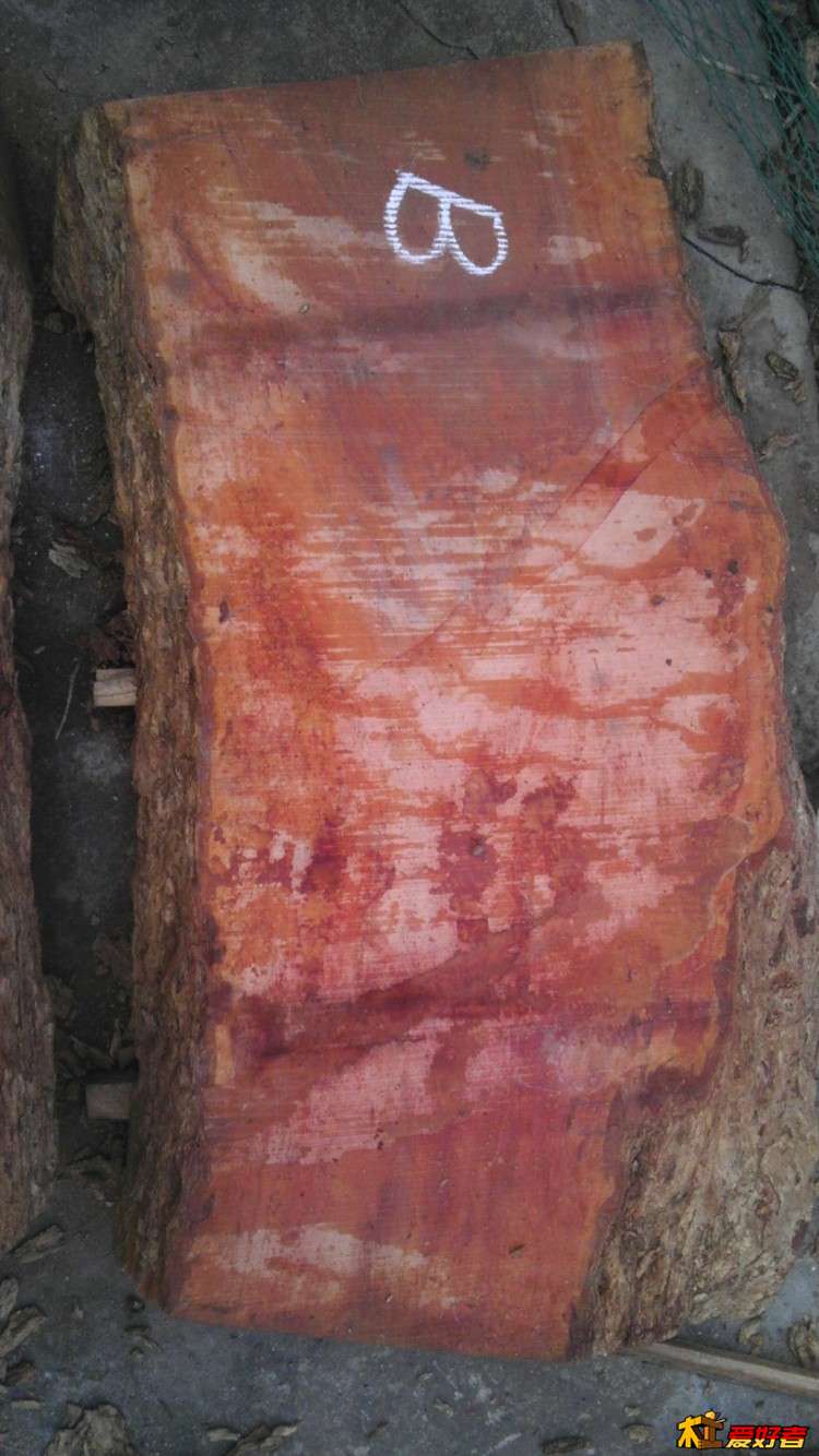 IMAG0746.jpg