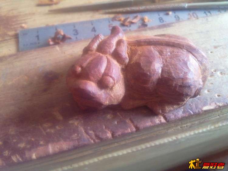 头一个有朋友说像兔子，还别说，我家真养了个兔子，都快两年了，买菜叶喂兔子的钱，可能都可以买20个兔子了 ...