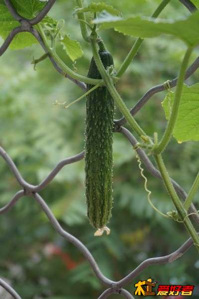 DSC04112_调整大小.JPG