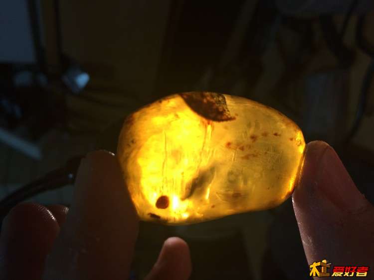 琥珀里有片树叶，经历亿万年的历练，辗转到我手里，怎忍心破坏