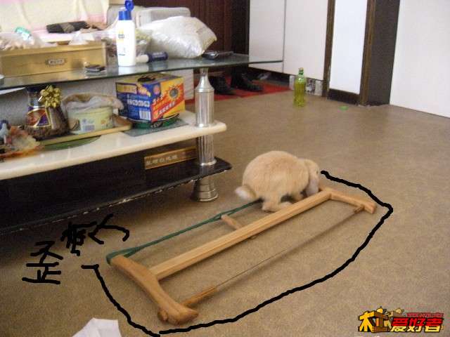 210158jjmpxph2y777jjkx_副本.jpg