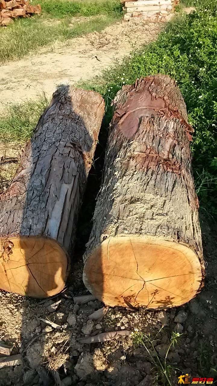 20150630_181508.jpg