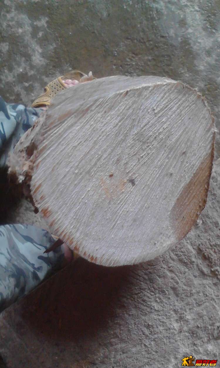 自己两年前上山砍得树，现在已经干透了