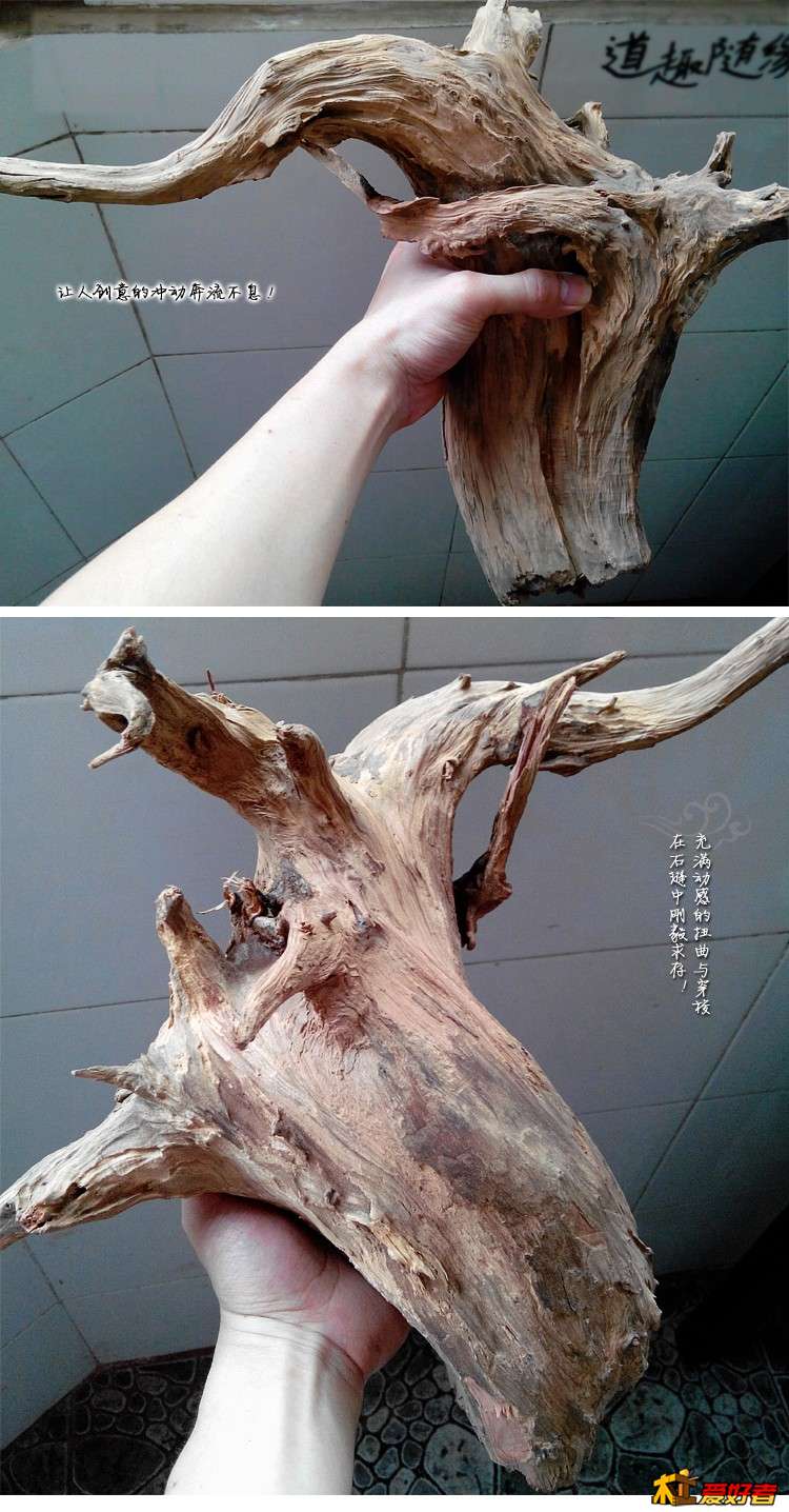 详情1 拷贝.jpg