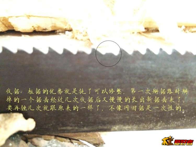 2912.jpg