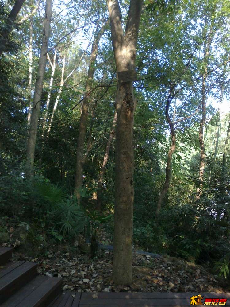 20150909210.jpg