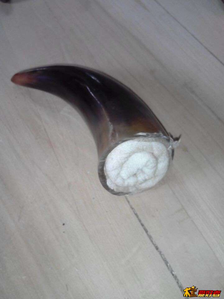 用纱布，或者其他的布作为填充