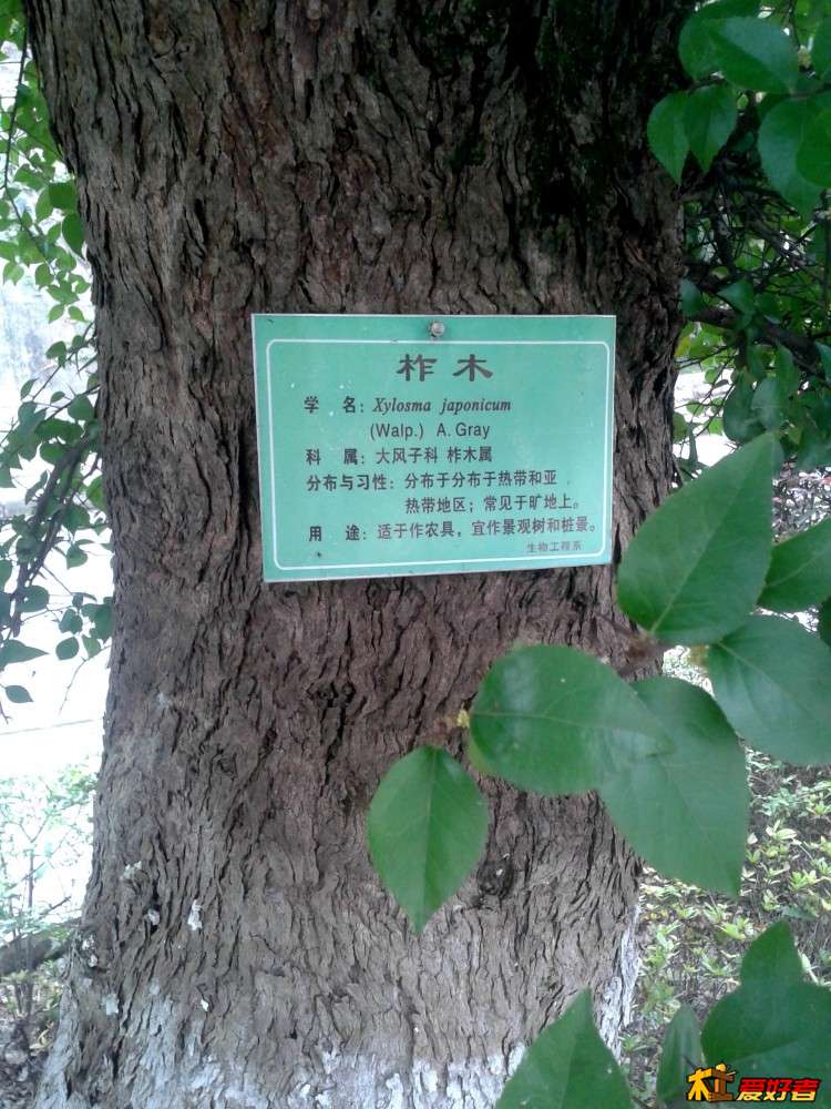 IMG_20150924_095724_副本.jpg