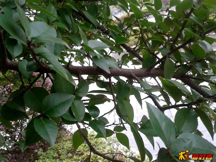 IMG_20150924_095833_副本.jpg