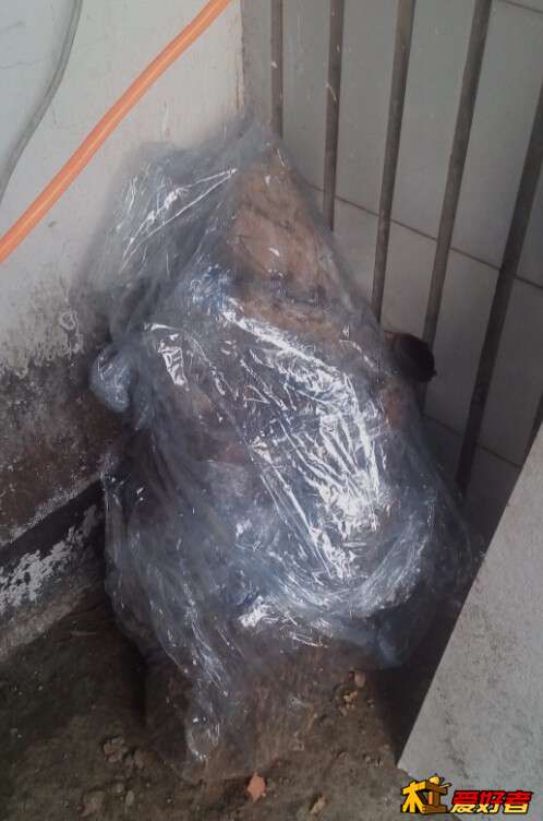 QQ截图20151022182319.jpg