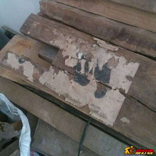 224600ab98w9toz8dzl958.jpg