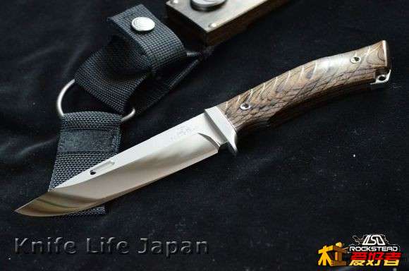 a4876a6034a85edf7ba79cc24a540923dc54755a.jpg