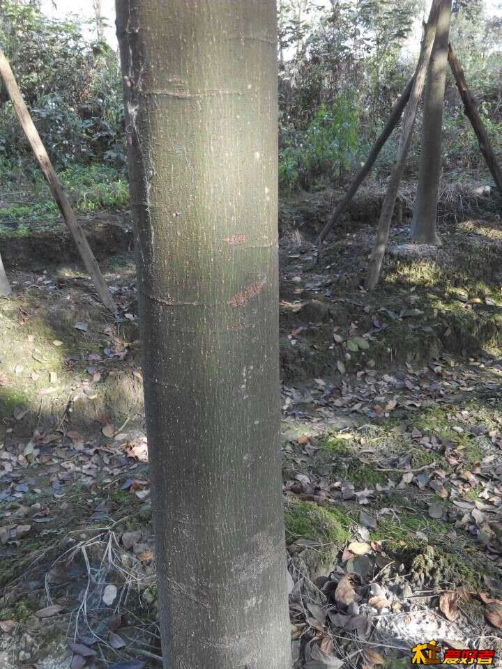 QQ图片20151125134030.jpg