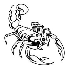 u=2673018028,130656651&amp;fm=21&amp;gp=0.jpg