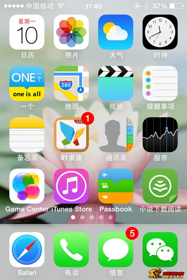 照片 965.png