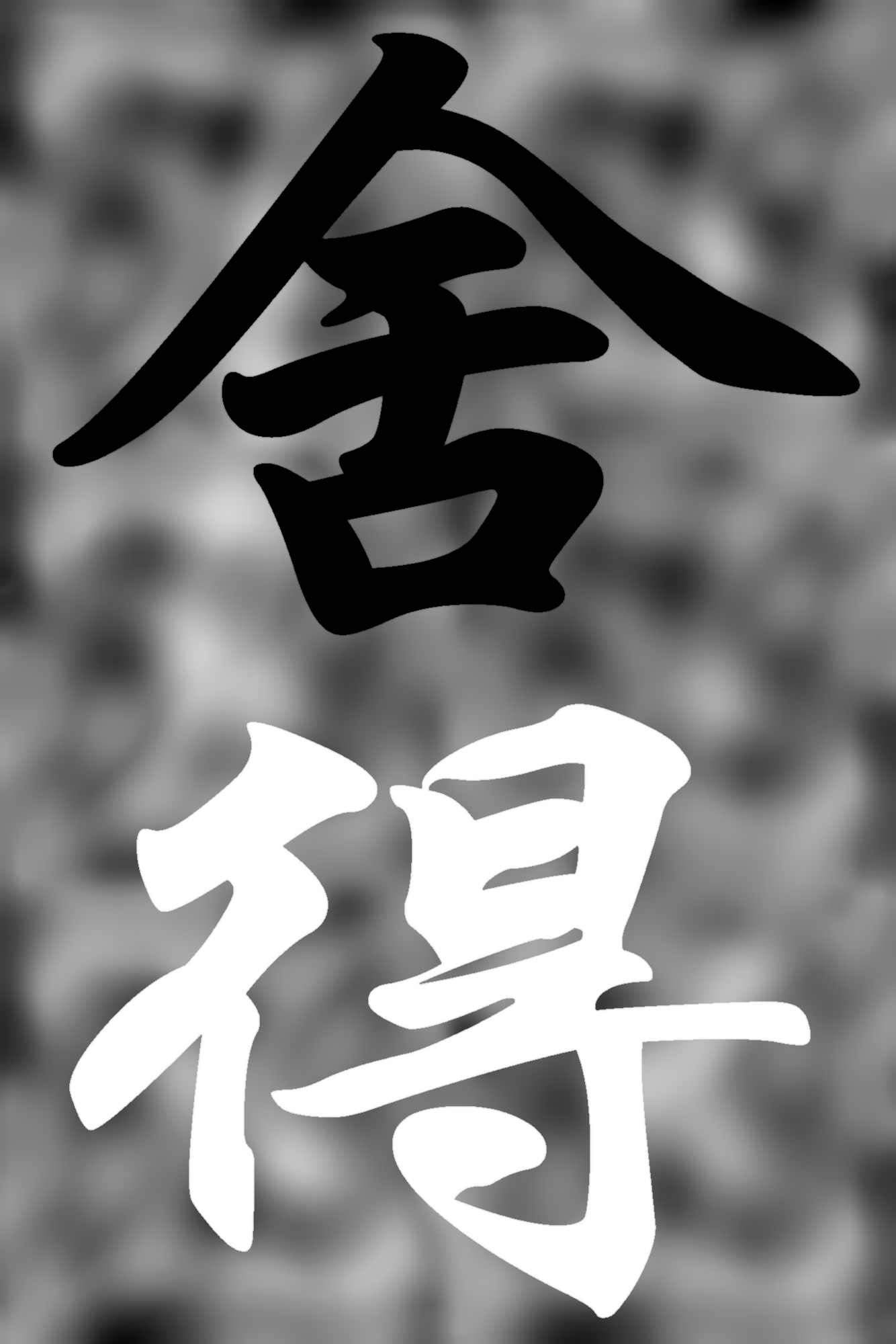 214742x11rbtfh6r8oe8ch.bmp