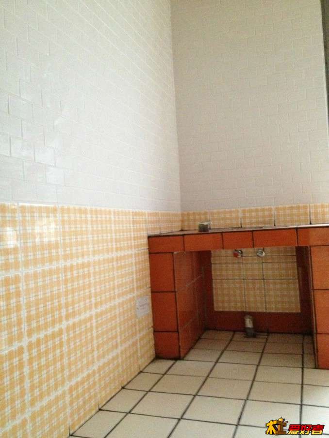 175.jpg