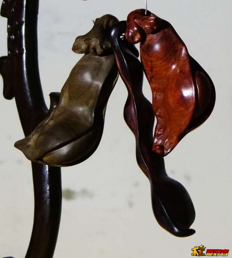 紫檀豆荚
