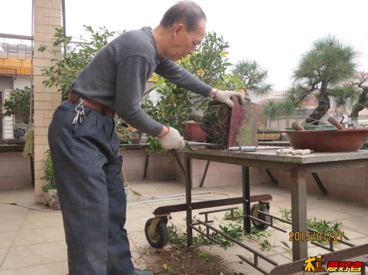 换纪念盆2.jpg