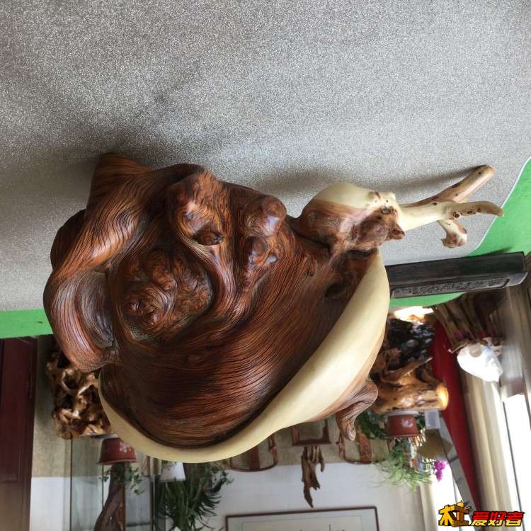 image.jpeg