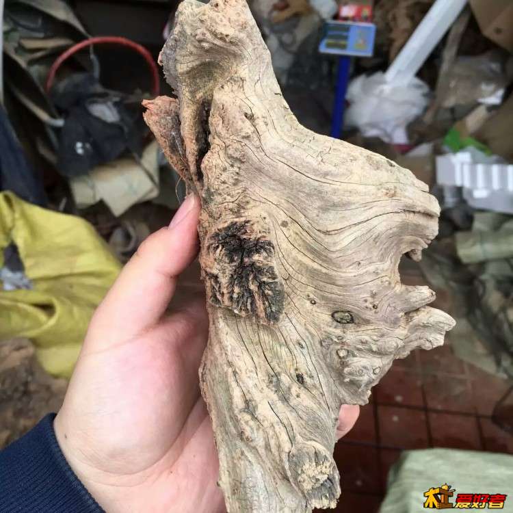 mmexport1457086729349 - 副本.jpg