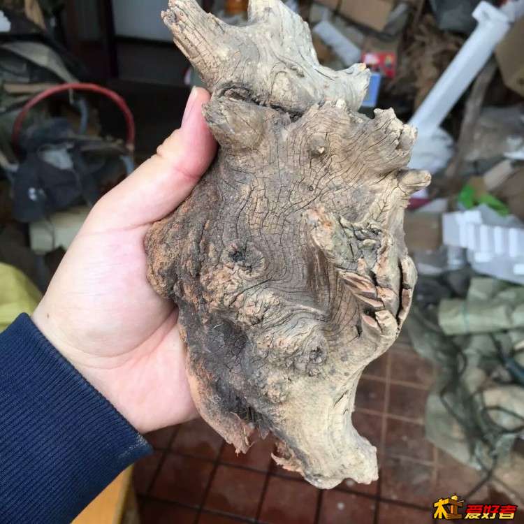 mmexport1457086731730 - 副本.jpg