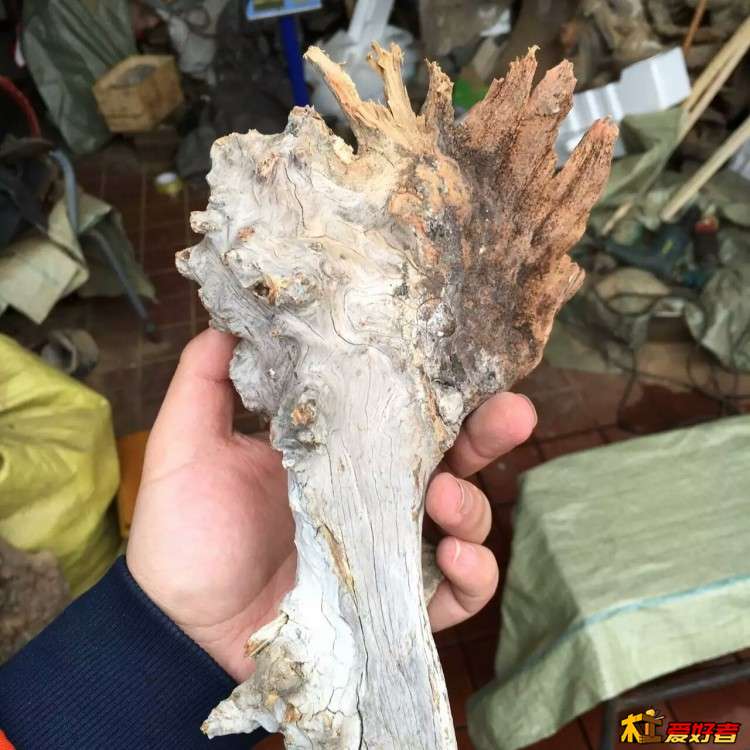 mmexport1457086734136 - 副本.jpg