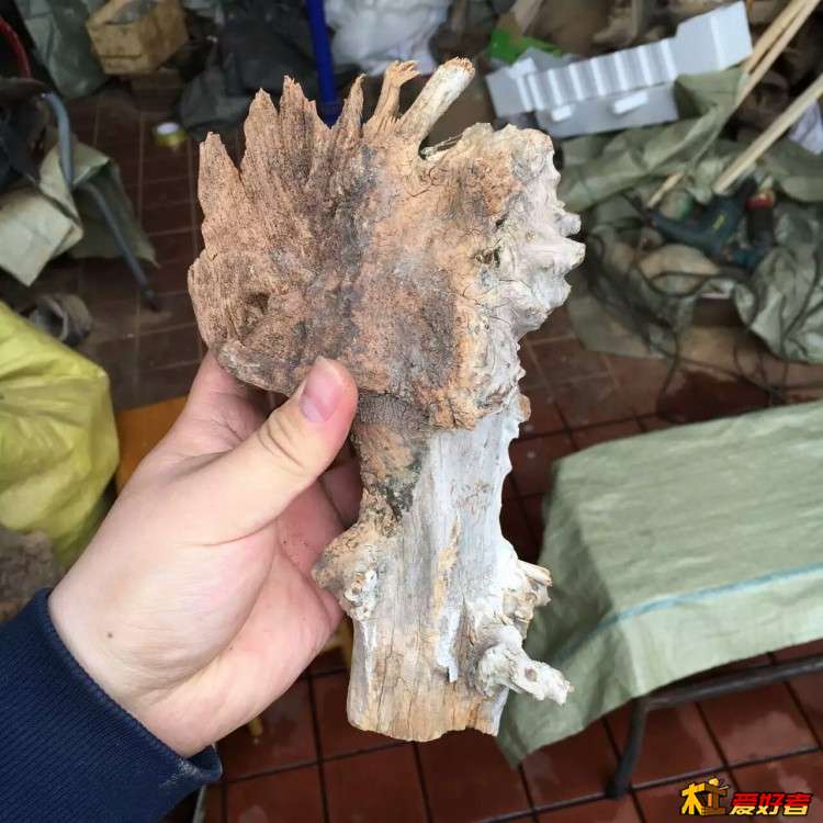 mmexport1457086736381 - 副本.jpg