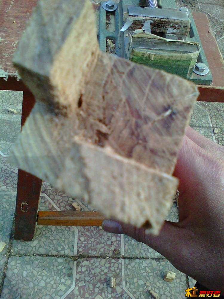 Photo0186.jpg