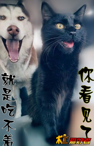 搜狗截图13年06月09日0037_3_conew1.png