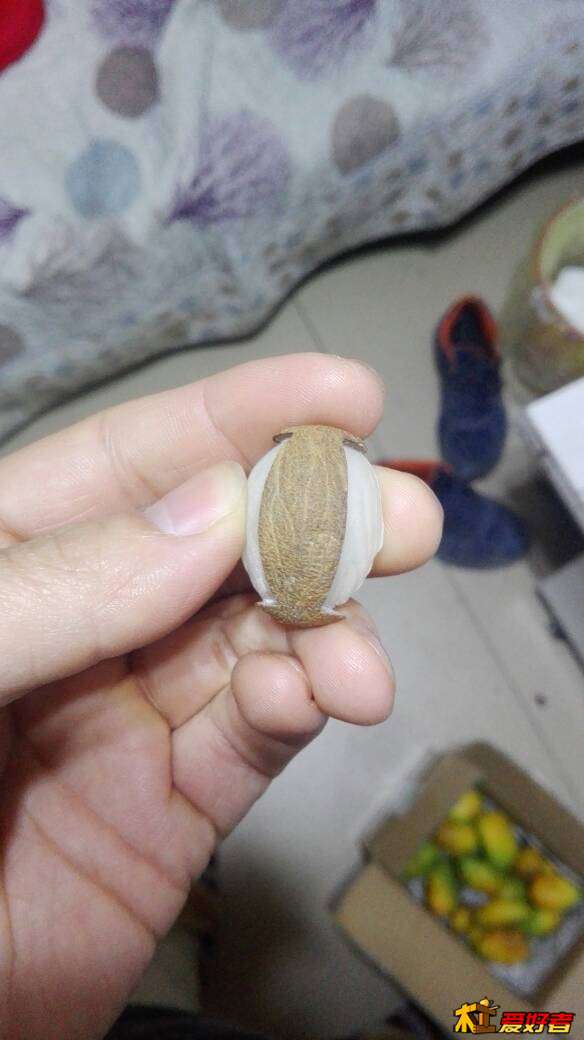 110043a4o1oaydxzrxuijy.jpg