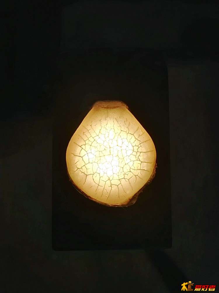 12斤多的青鱼头，烧吃后发现有这个，扔掉可惜，想做点什么。