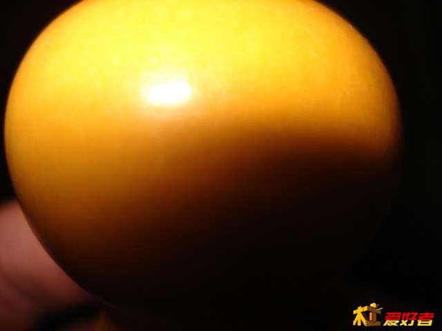 DSC09497.JPG