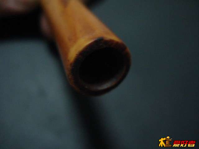 DSC09406.JPG