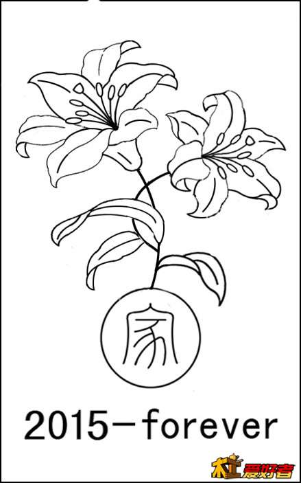 百合花.jpg