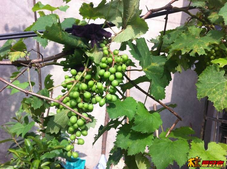 QQ图片20160524095031.jpg