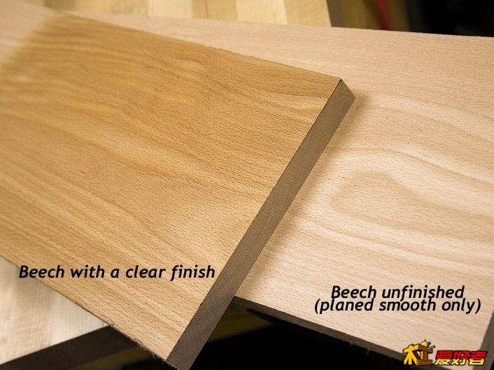 beech~3.jpg