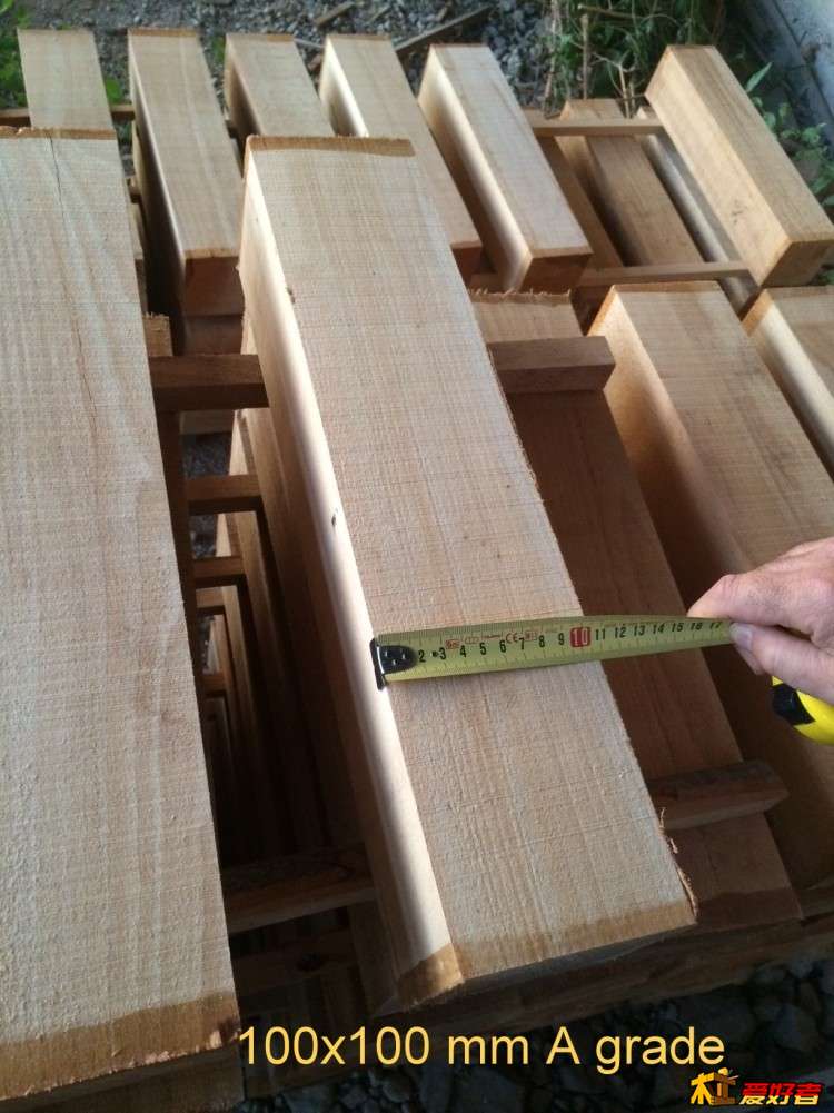 100x100beech(5).jpg
