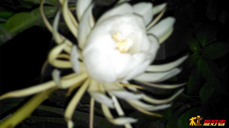 PIC_20150614_211853_14E.jpg