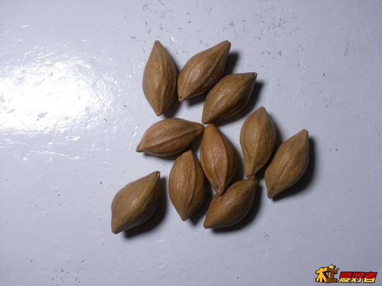 20160618_162542 (复制).jpg