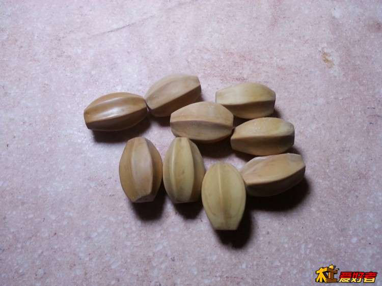 20160619_102909 (复制).jpg