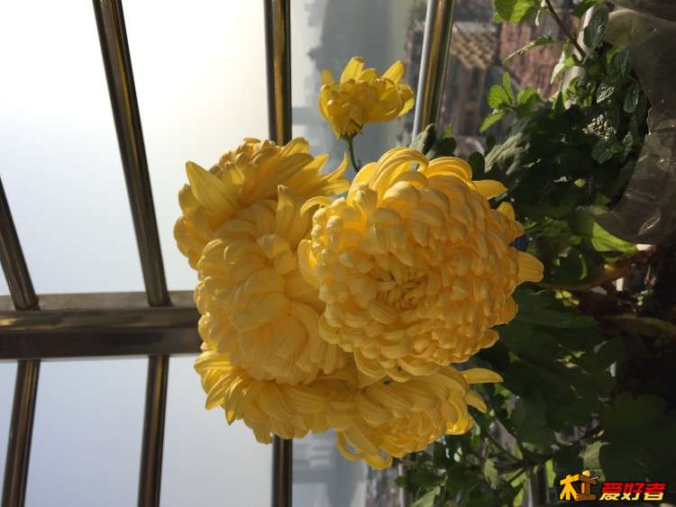 IMG_0847.JPG