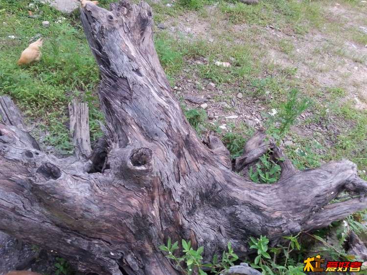 20160625_161027.jpg
