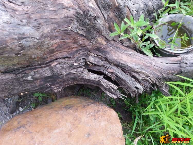 20160625_161009.jpg