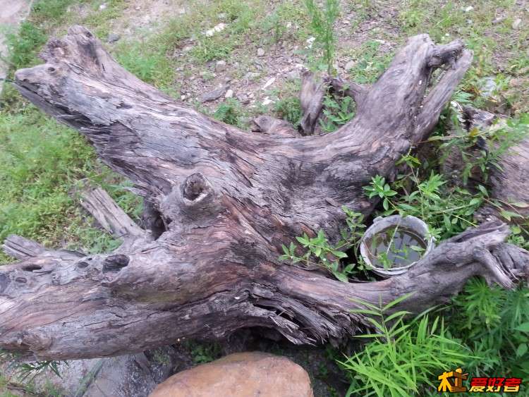 20160625_160836.jpg